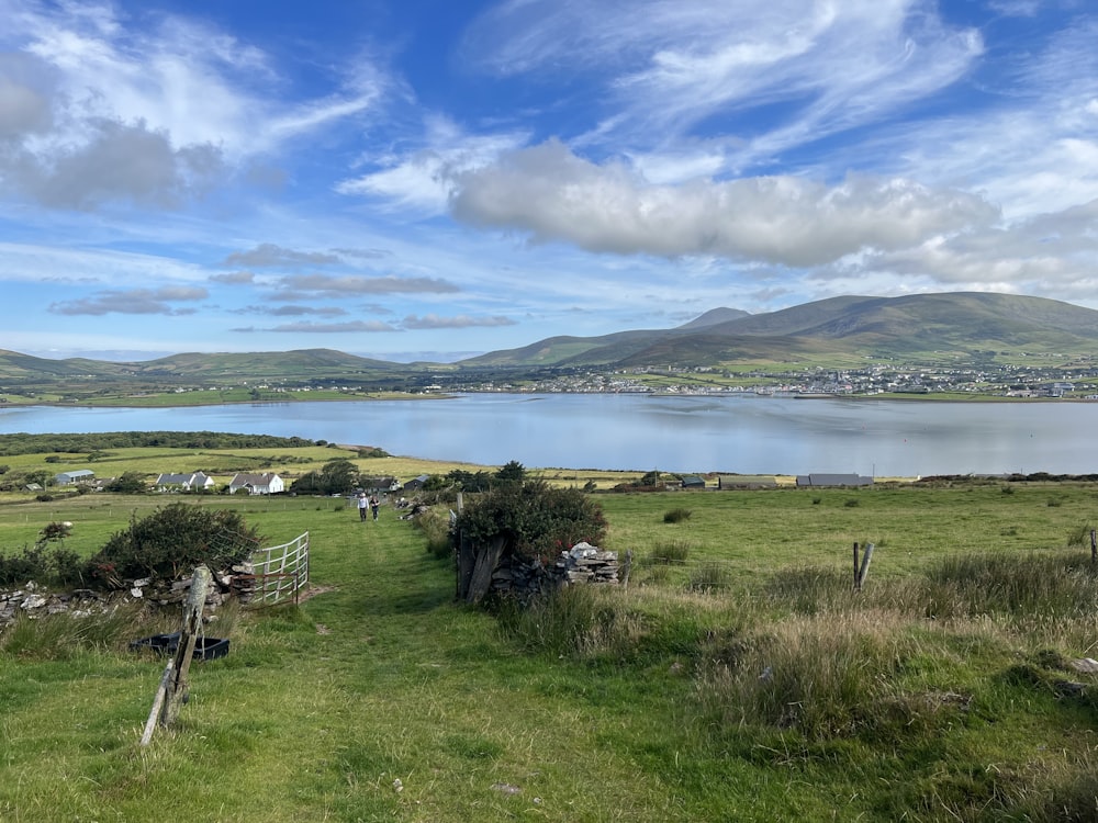 a grassy area with a body of water in the background