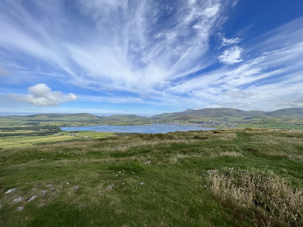 a grassy area with a body of water in the background