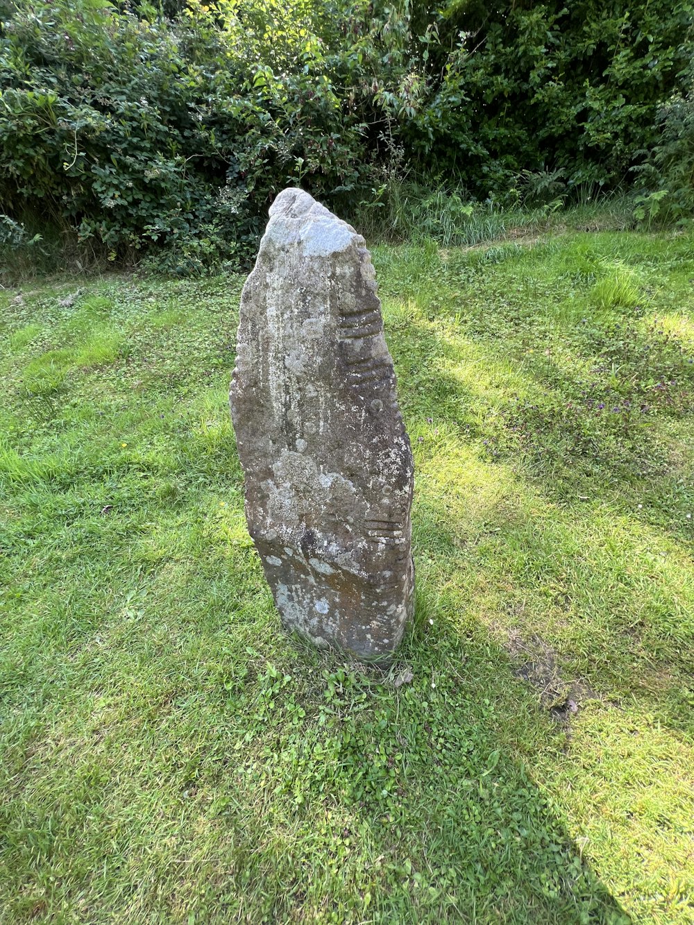 a rock in the grass