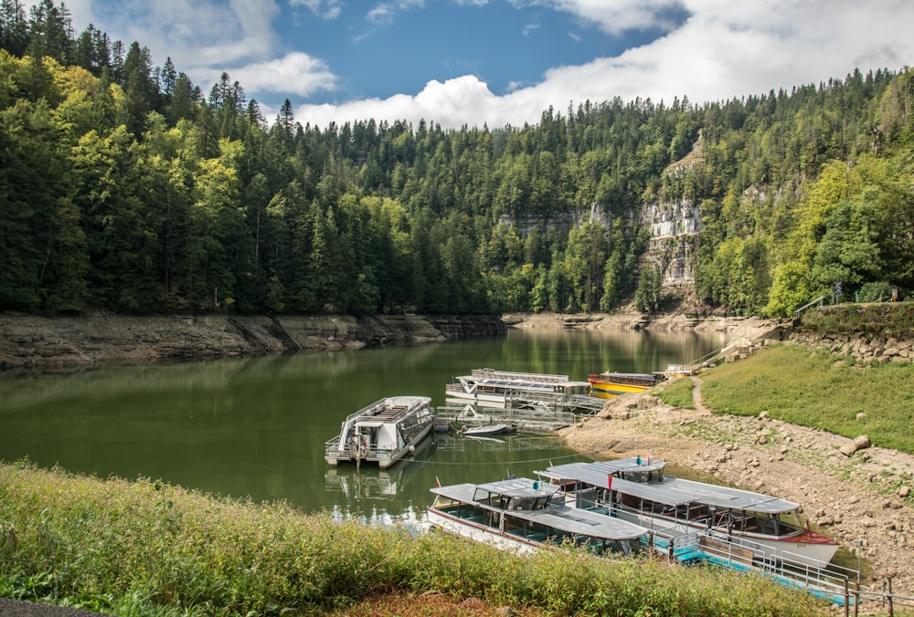 a group of boats on a river