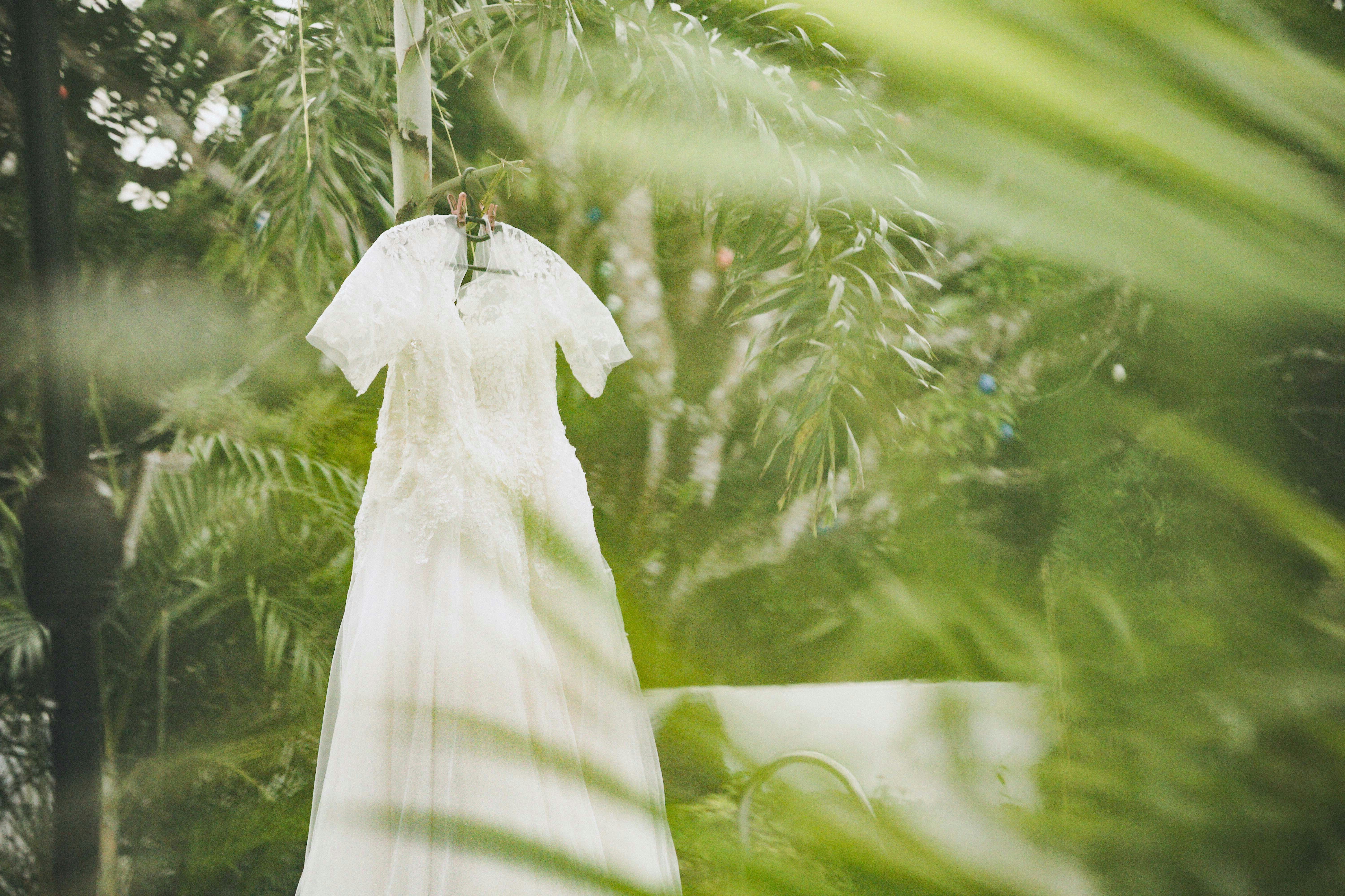 a white moth on a leaf