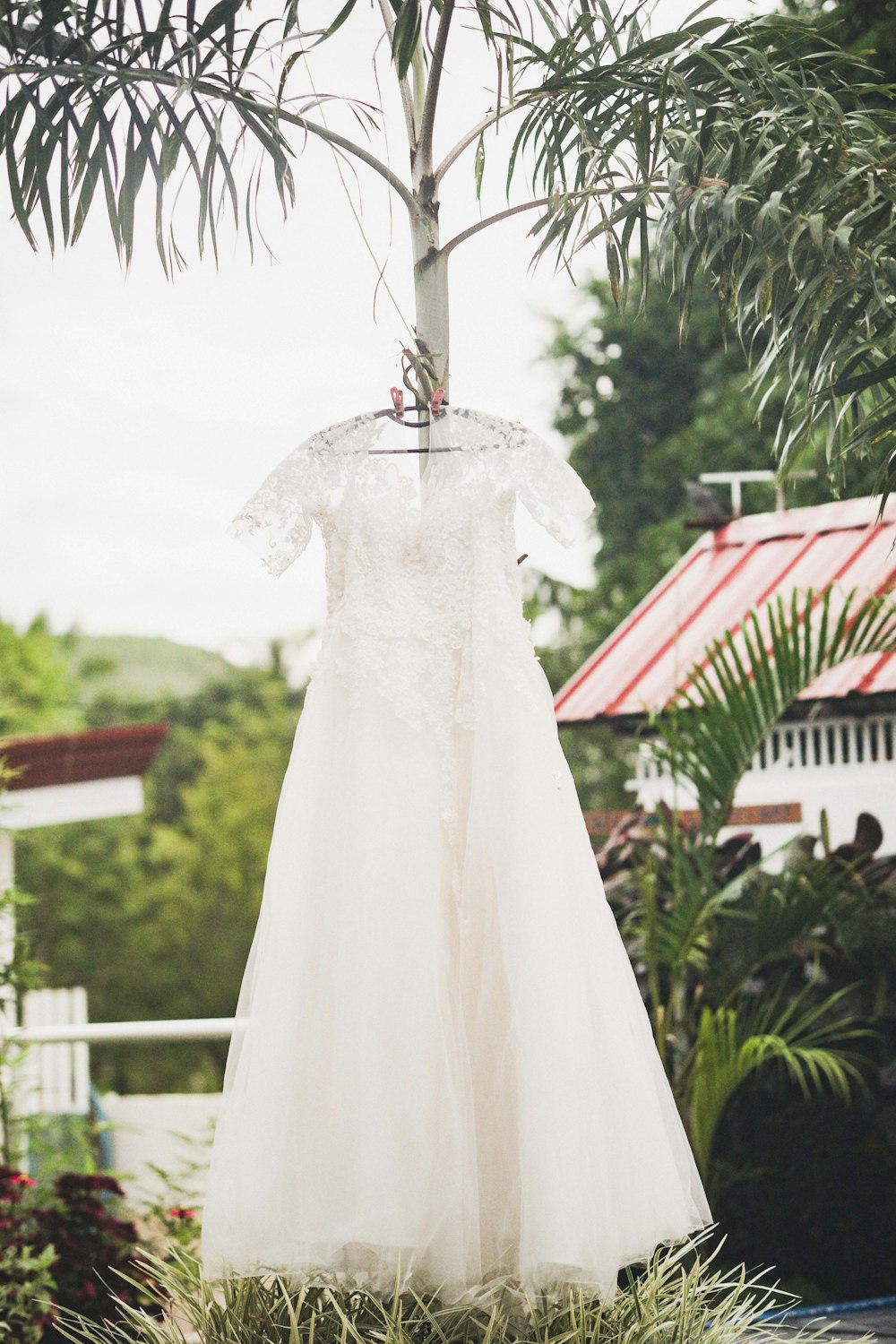 a wedding dress from a tree