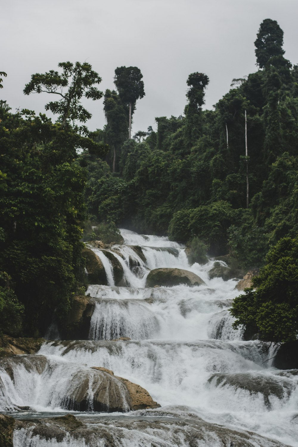 a waterfall with trees on the side