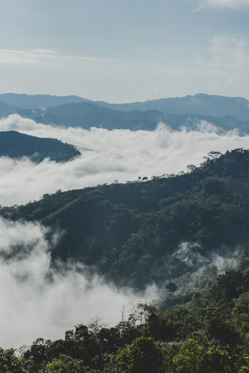 a view of a mountain range with clouds and trees