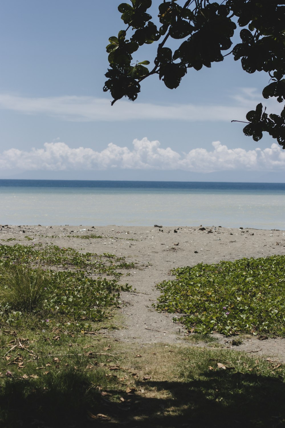 a beach with a body of water in the background