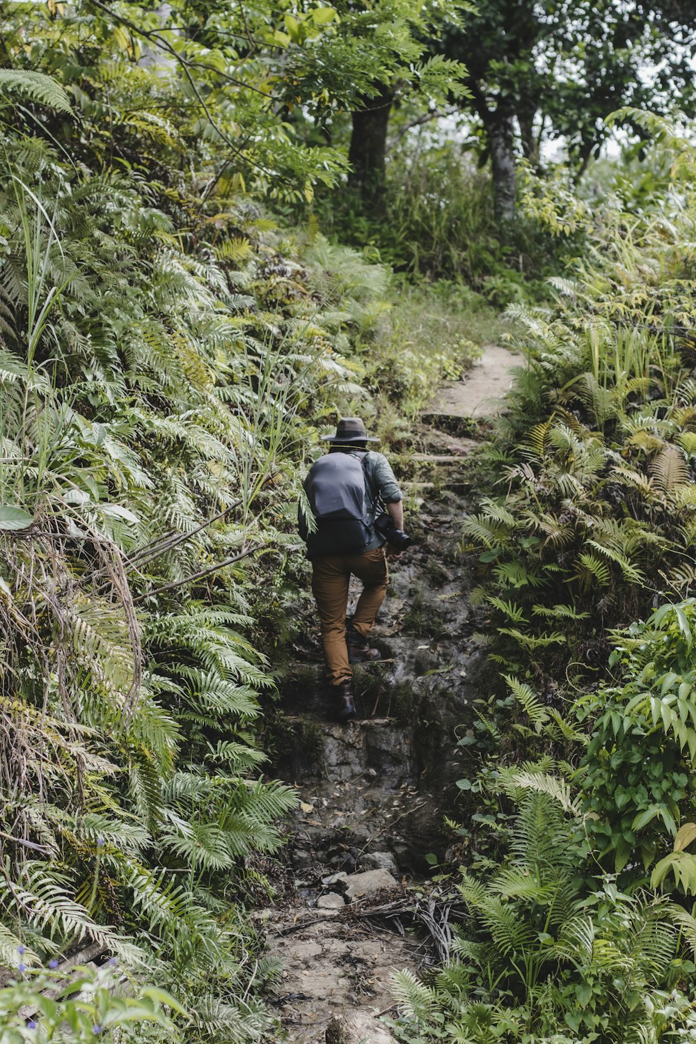 a man walking on a trail in the woods