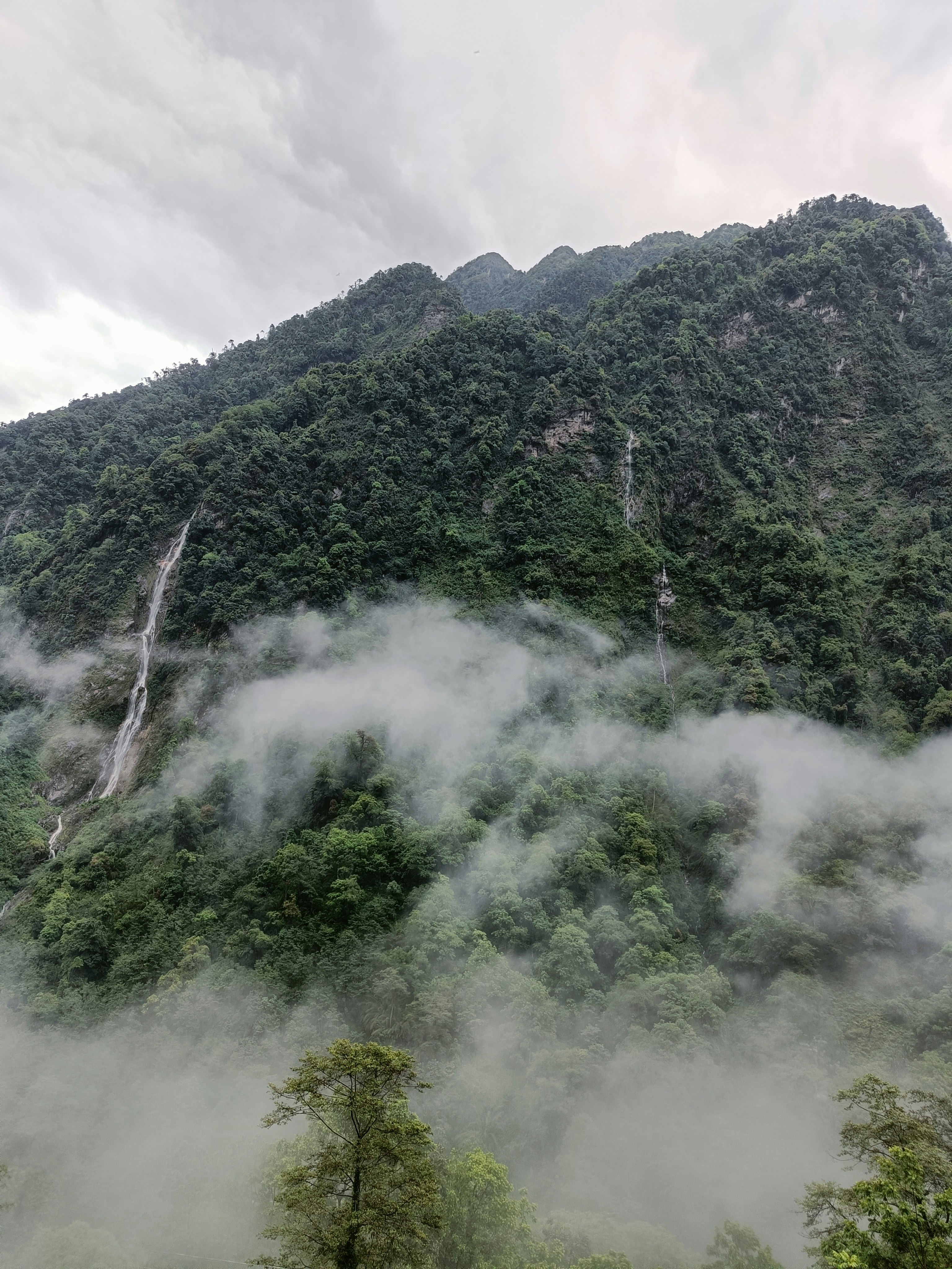 Photo by shahishukla