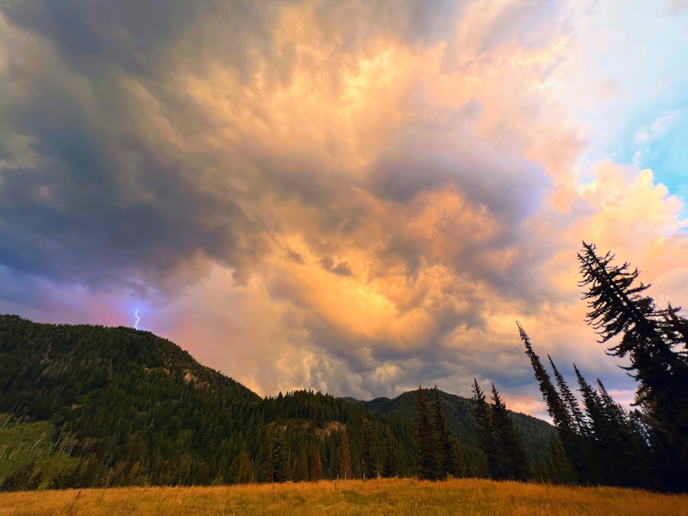 a landscape with trees and mountains