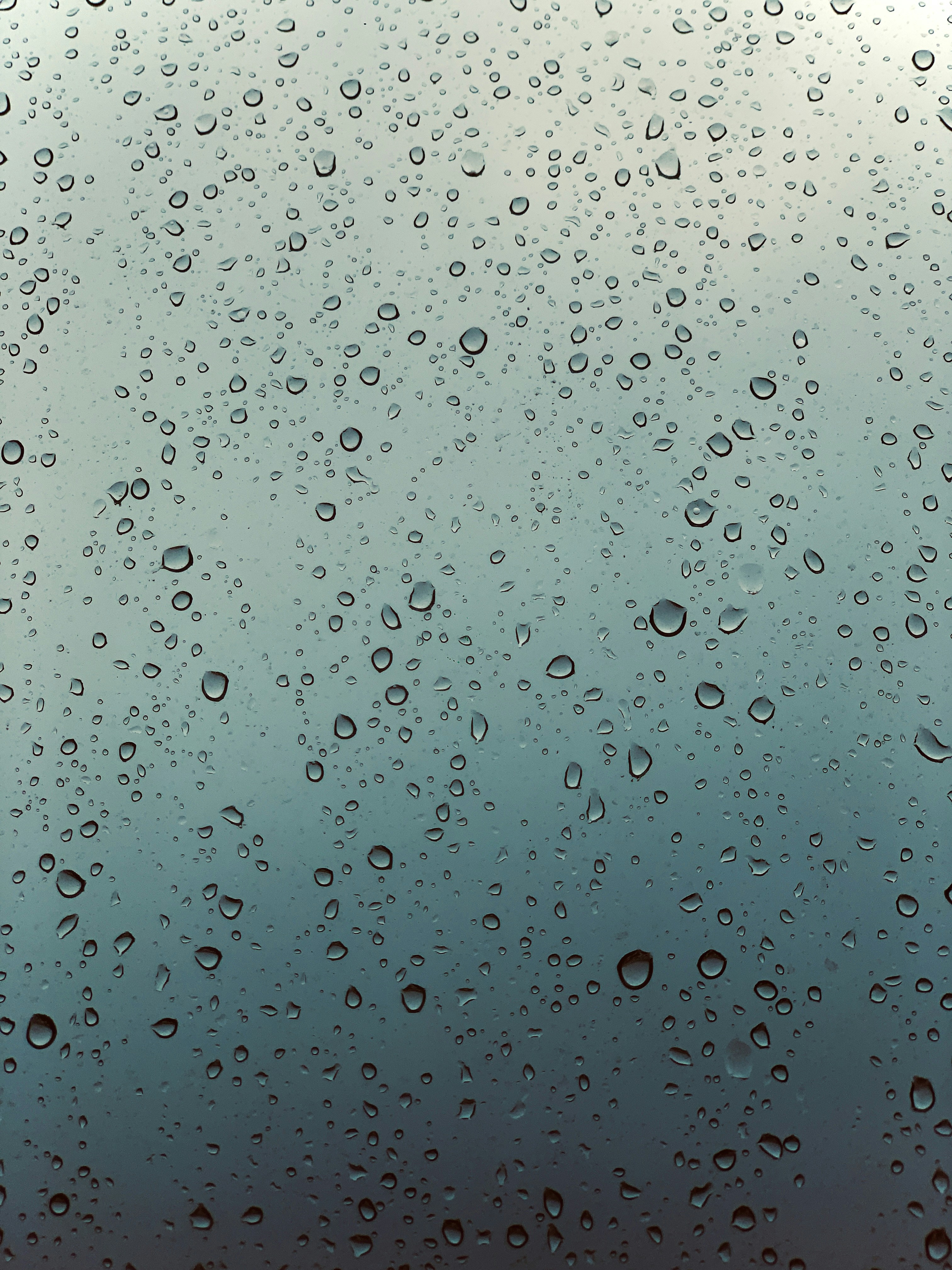 Photo by bryanstanley