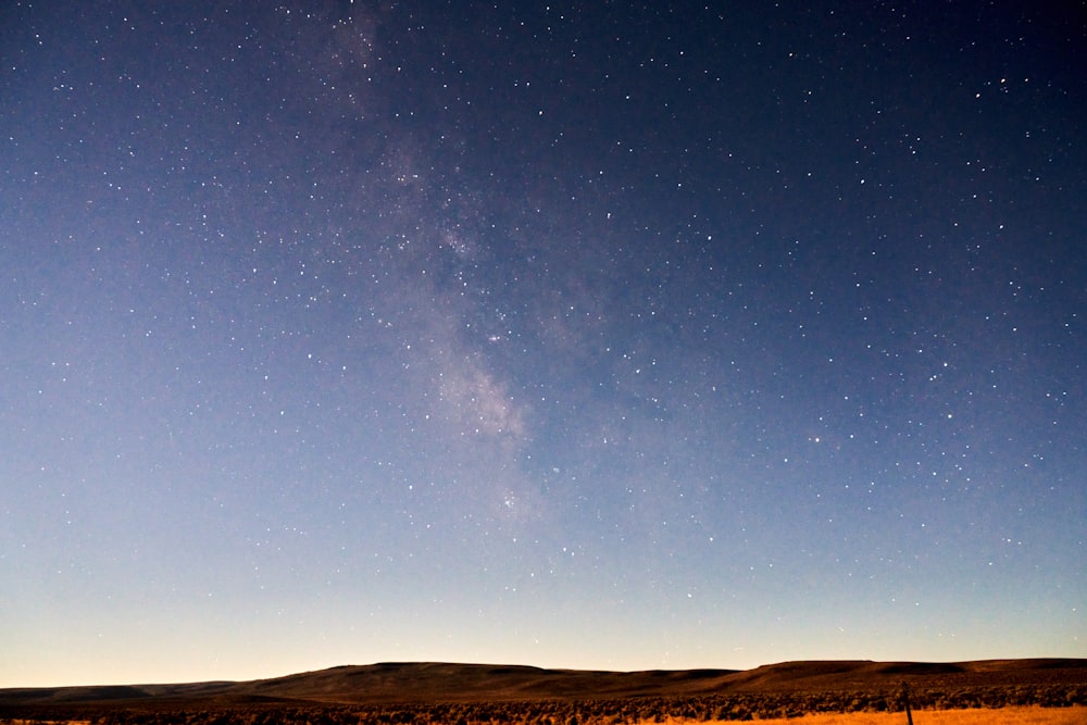 a starry night sky over a field