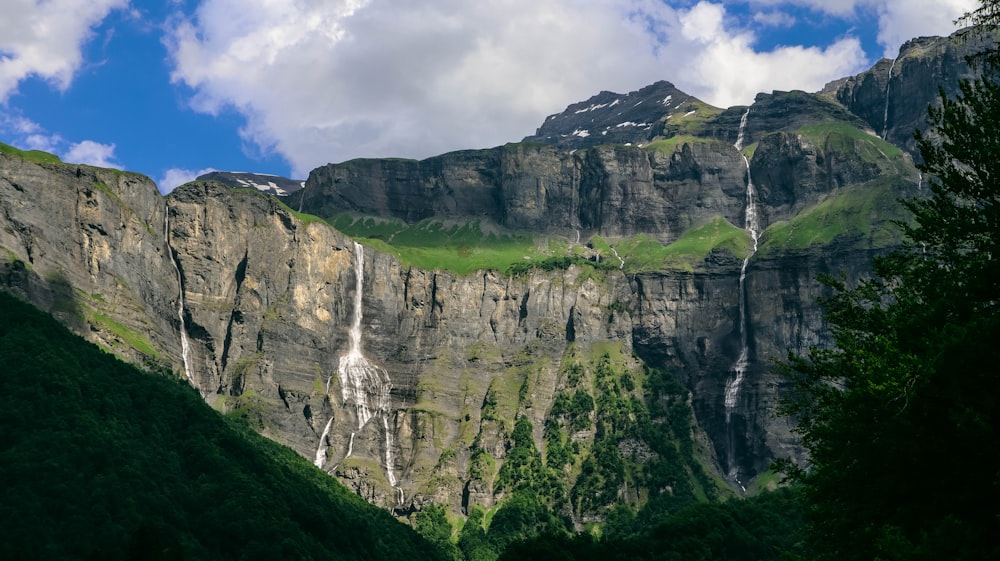 a rocky cliff with trees and grass