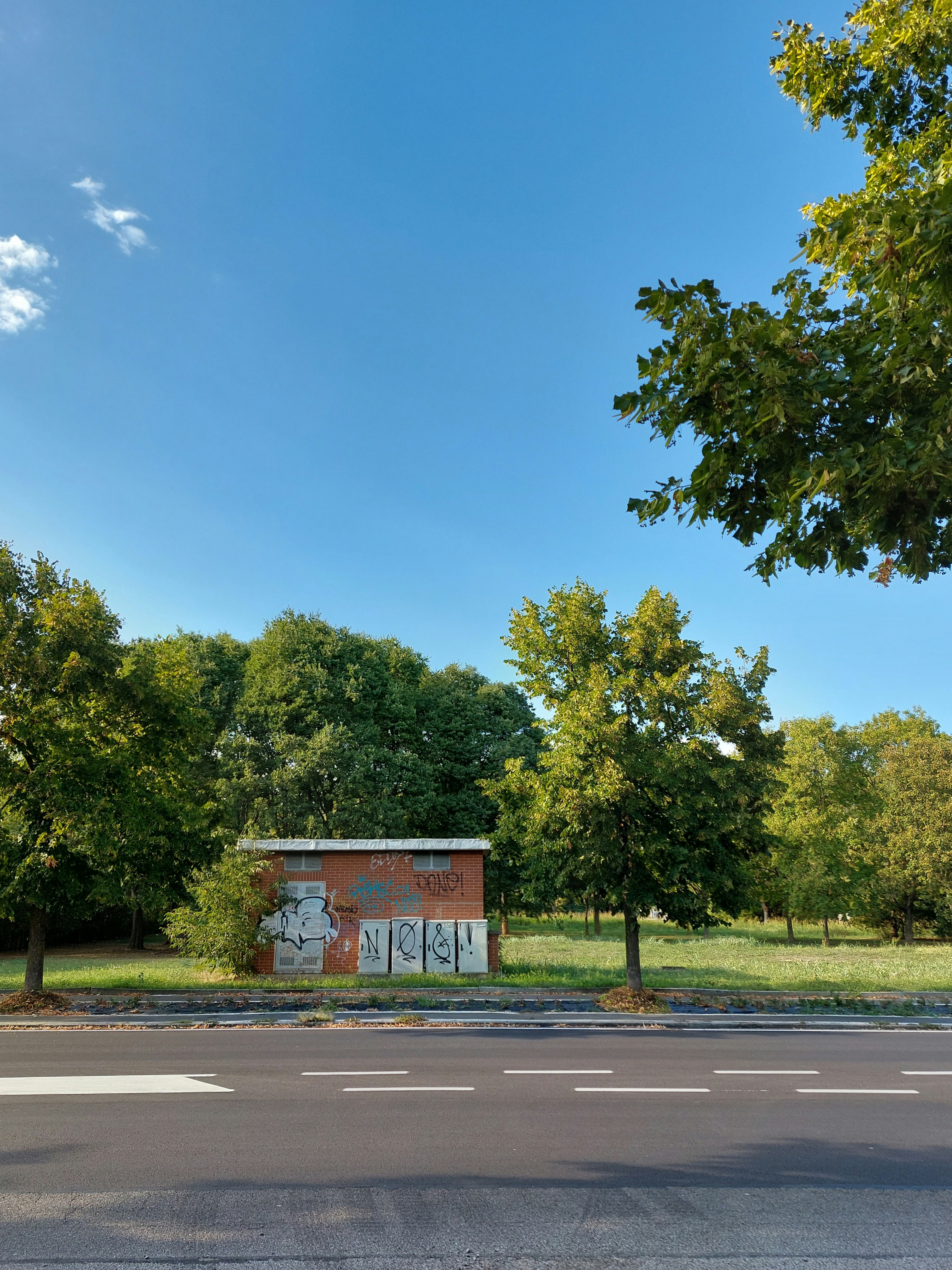 Photo by diego__damato