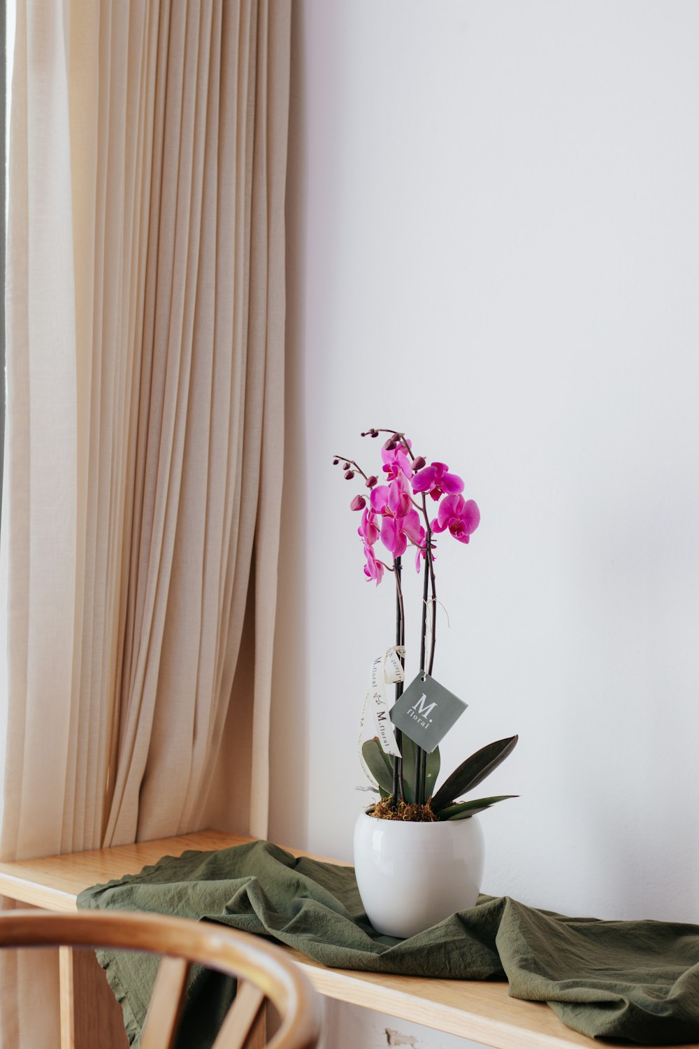 a potted plant on a table