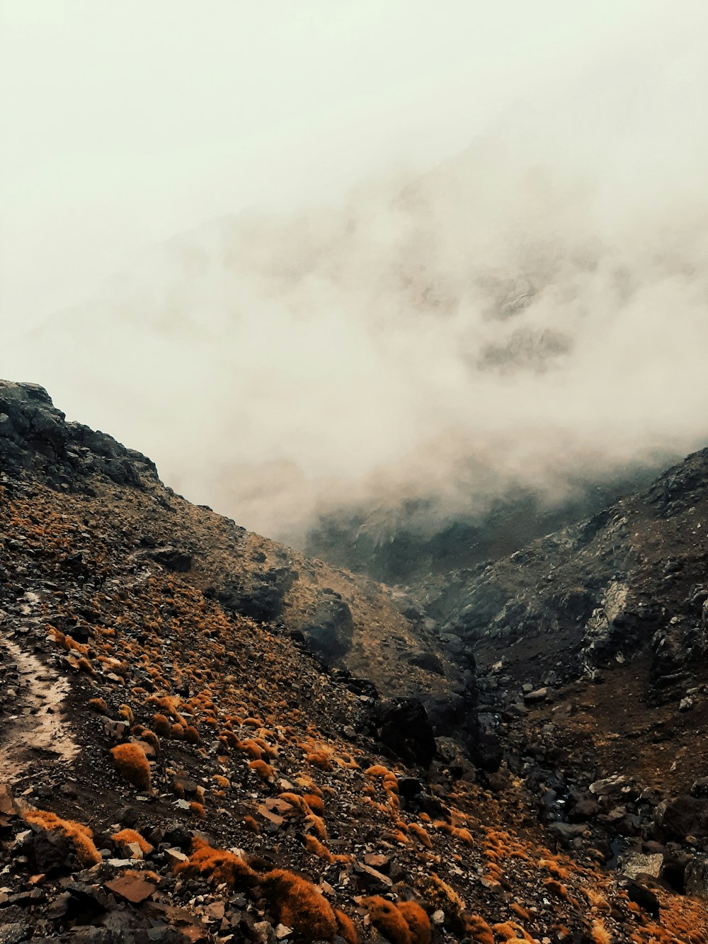 Un flanc de montagne rocheuse