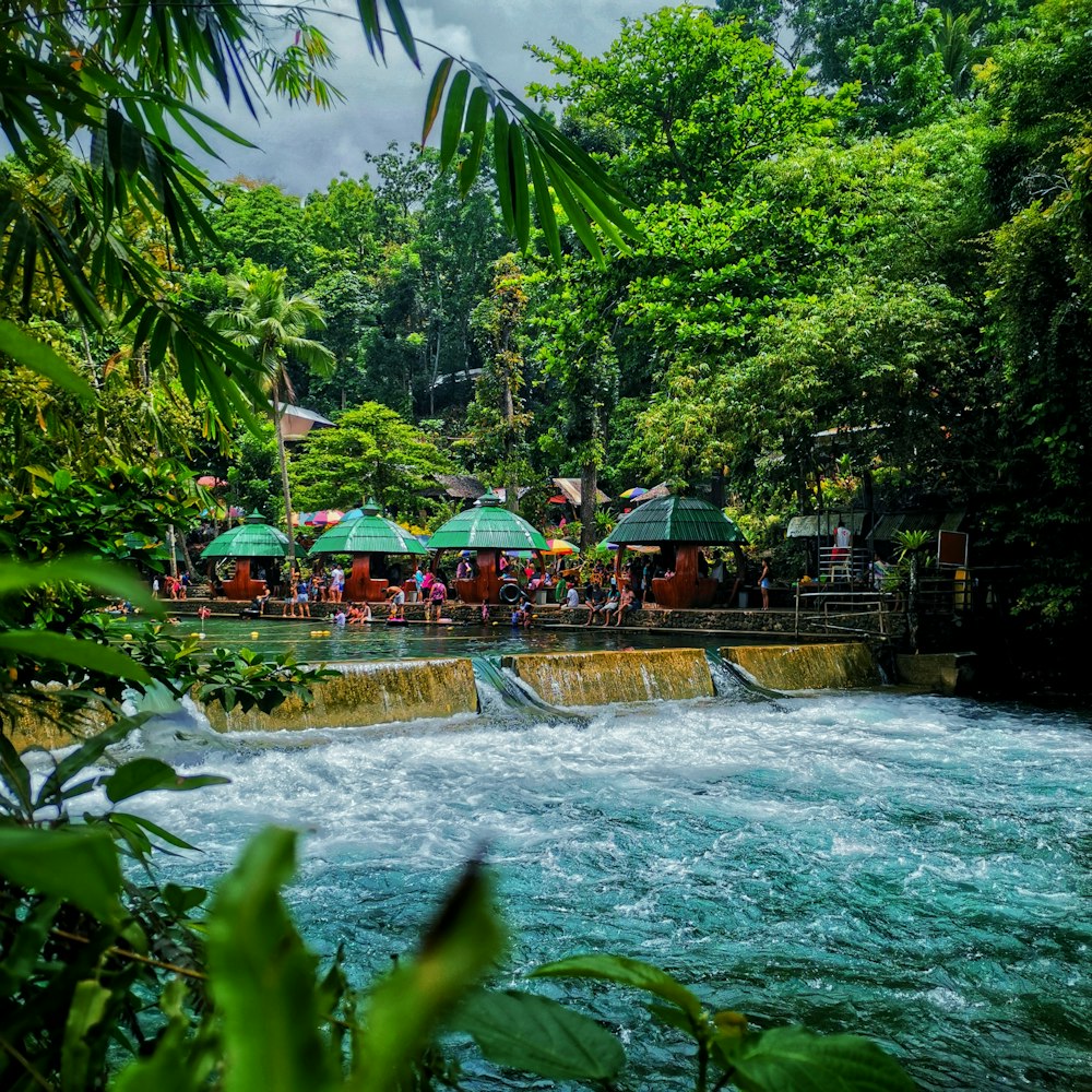 una piscina con sombrillas y una cascada