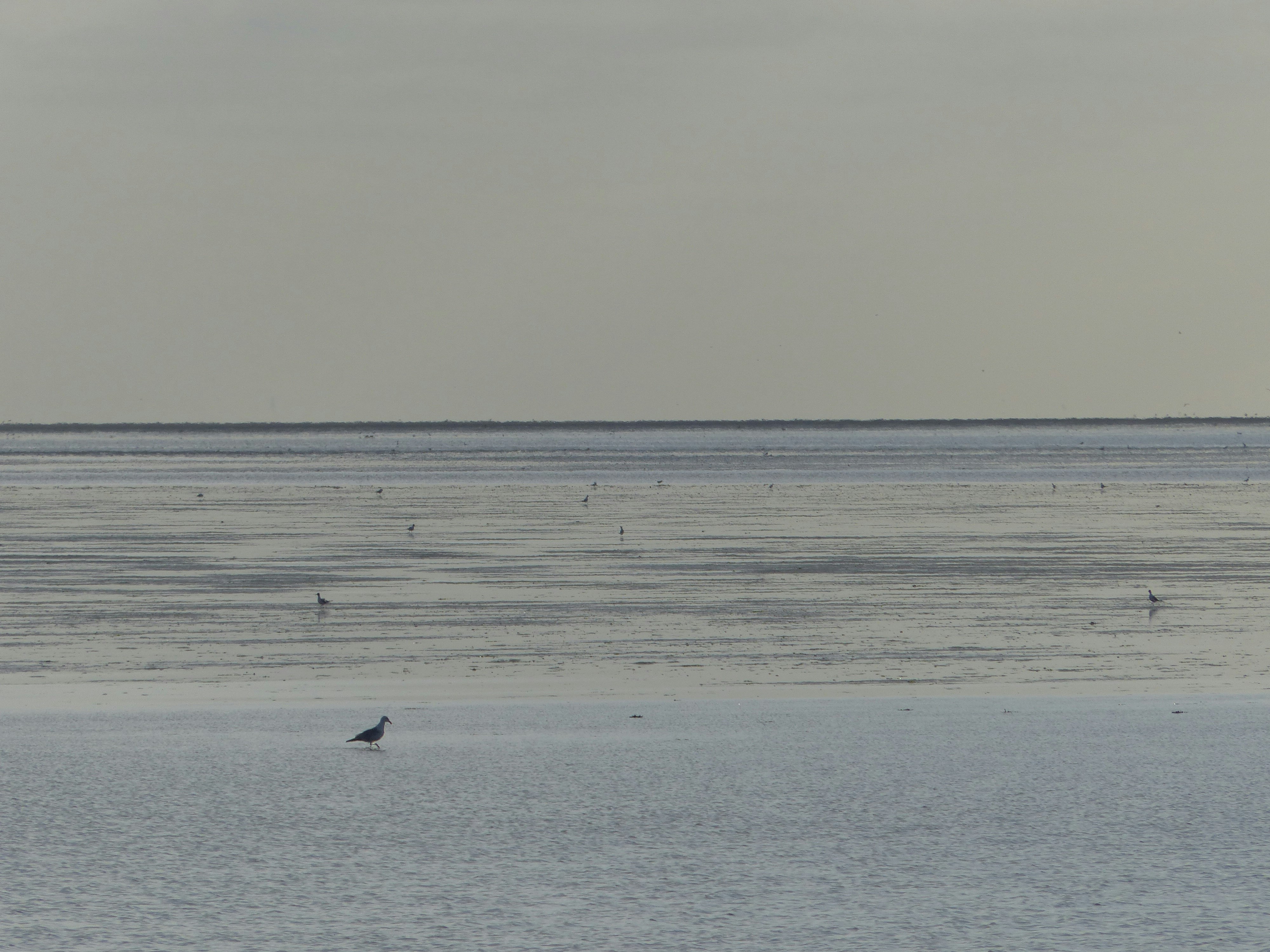 Photo by pixelart0107