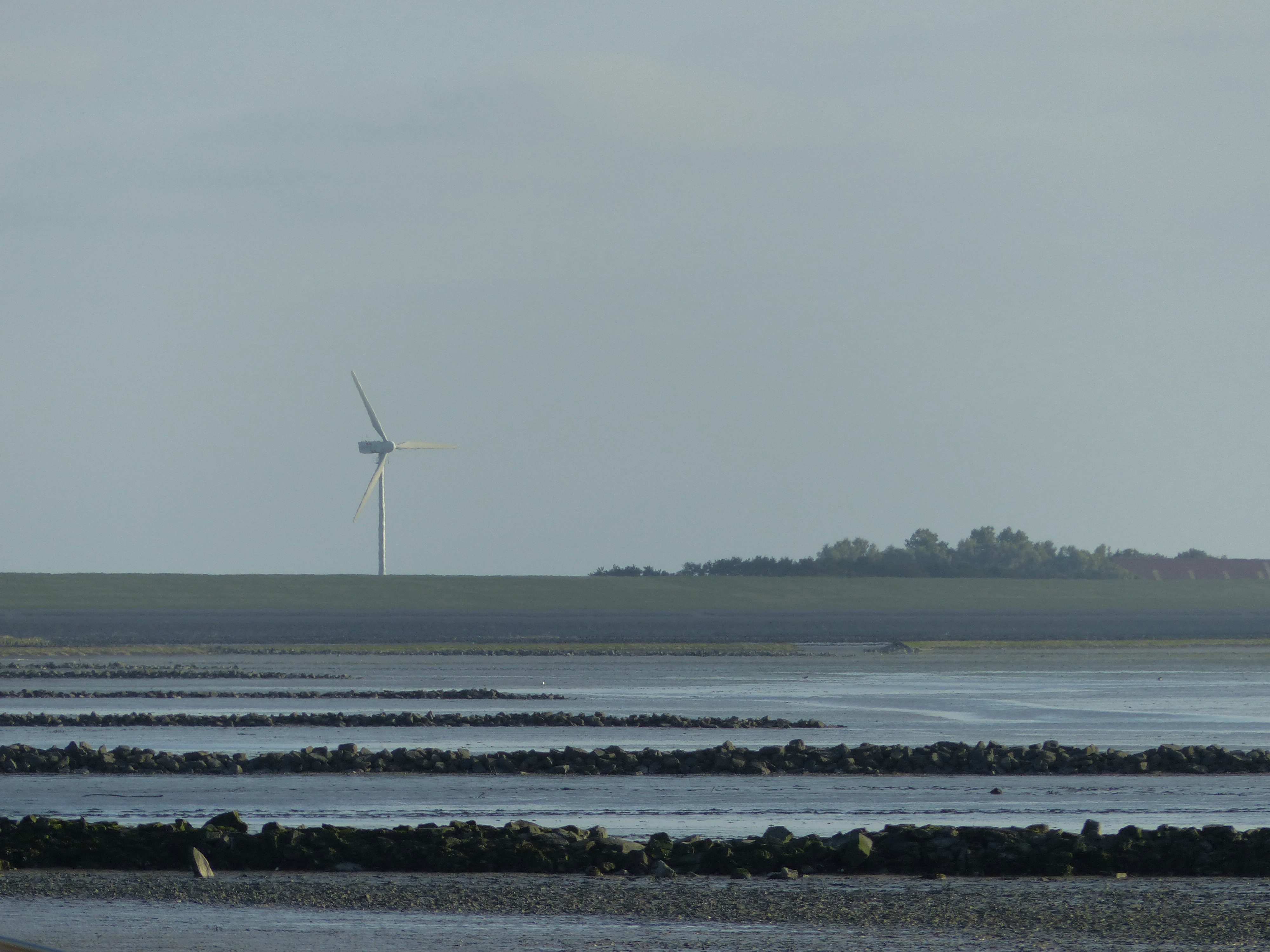 オランダの洋上風力戦略は？北海での大規模開発計画関連画像