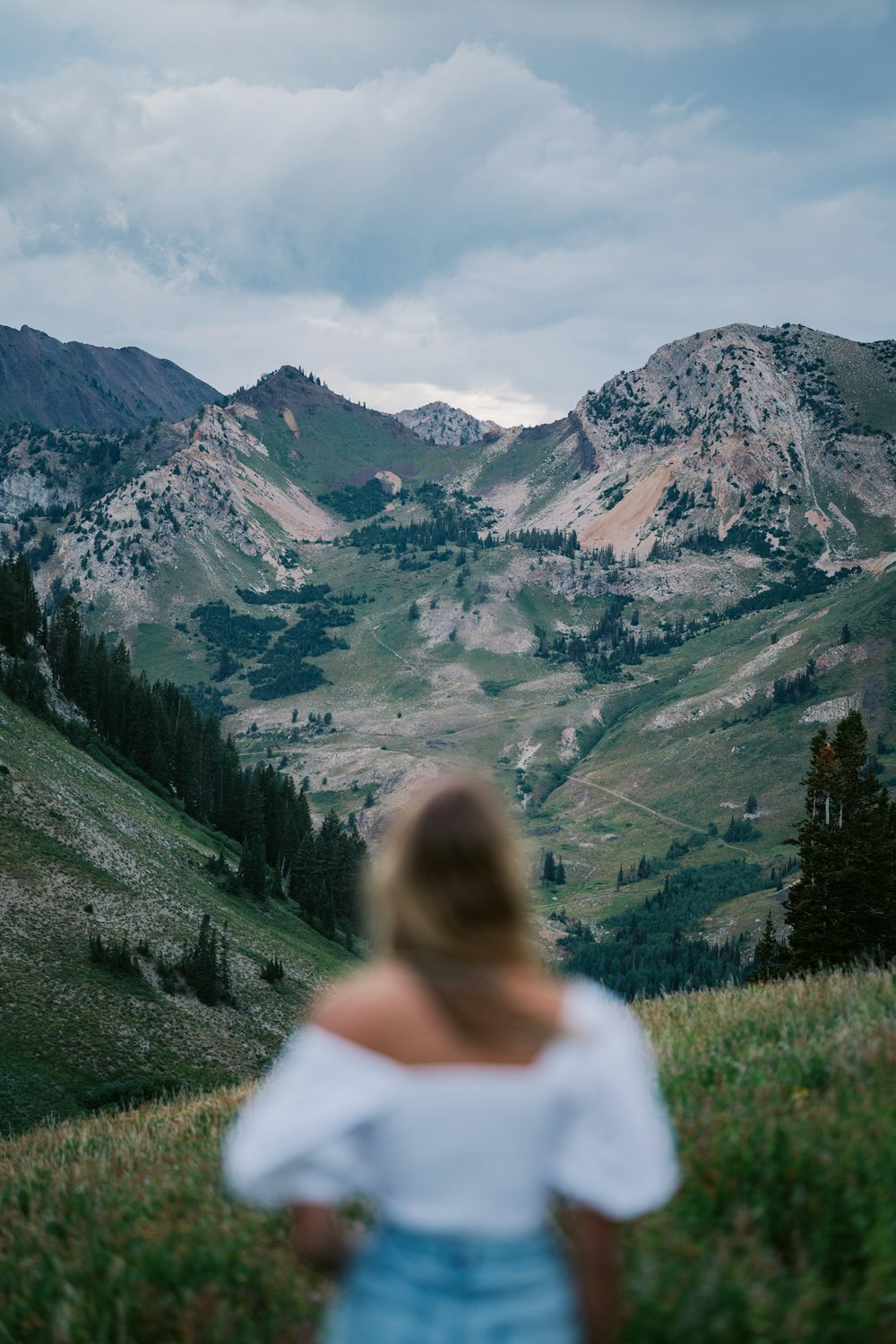 a person looking at a valley