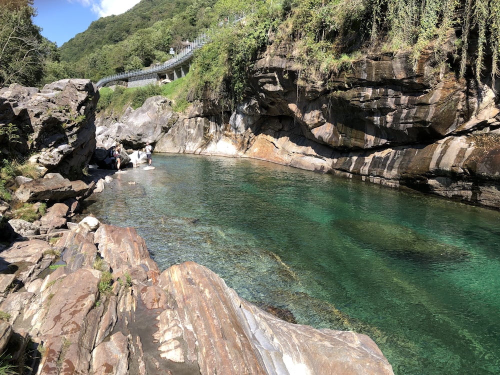 a body of water with a bridge and trees around it