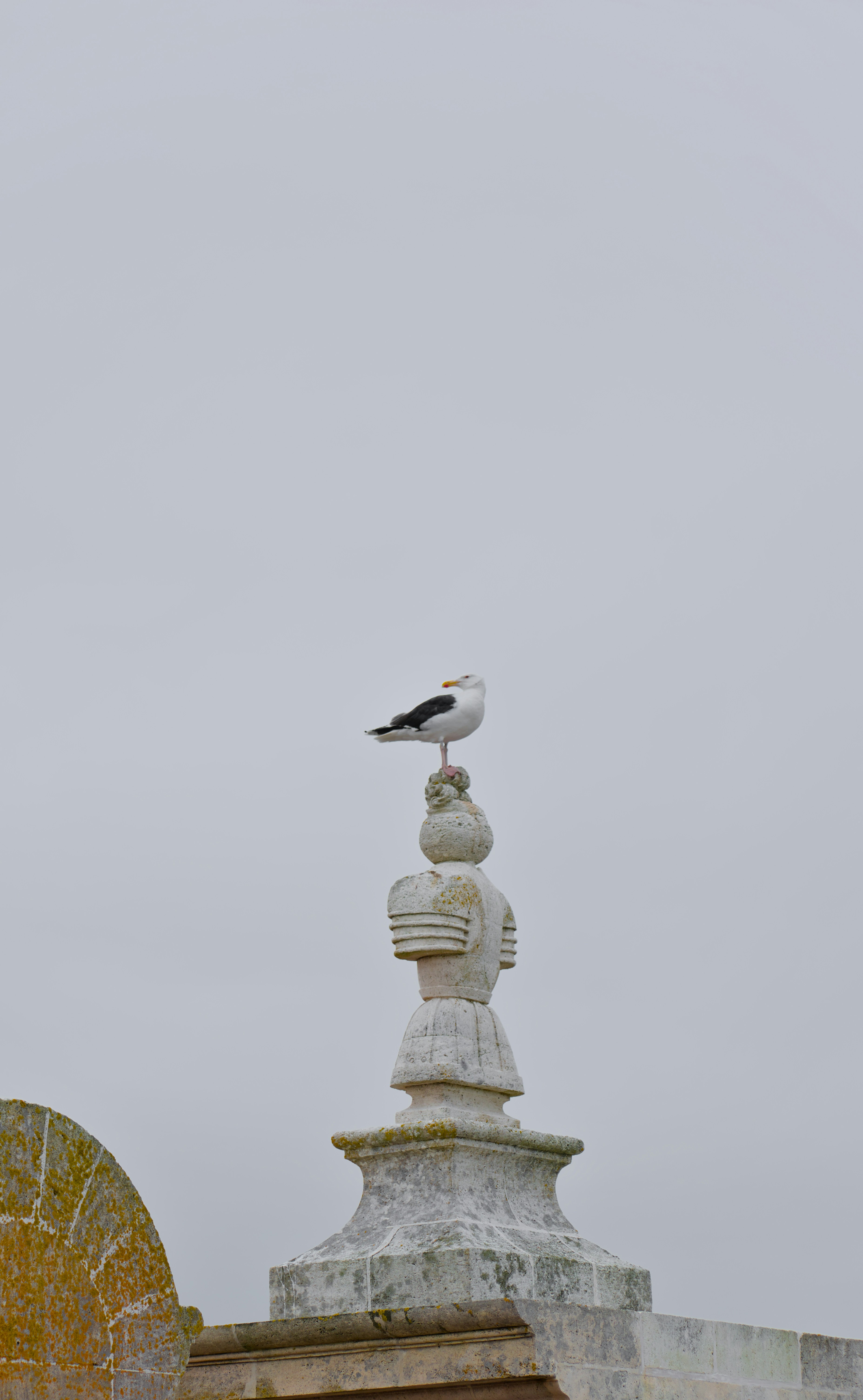 a bird on a stone pillar