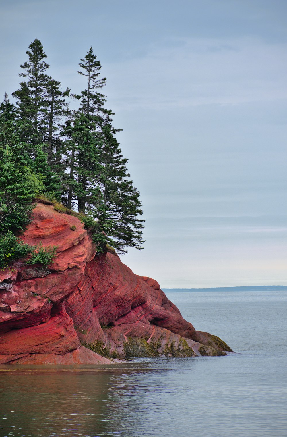 a cliff with trees on it