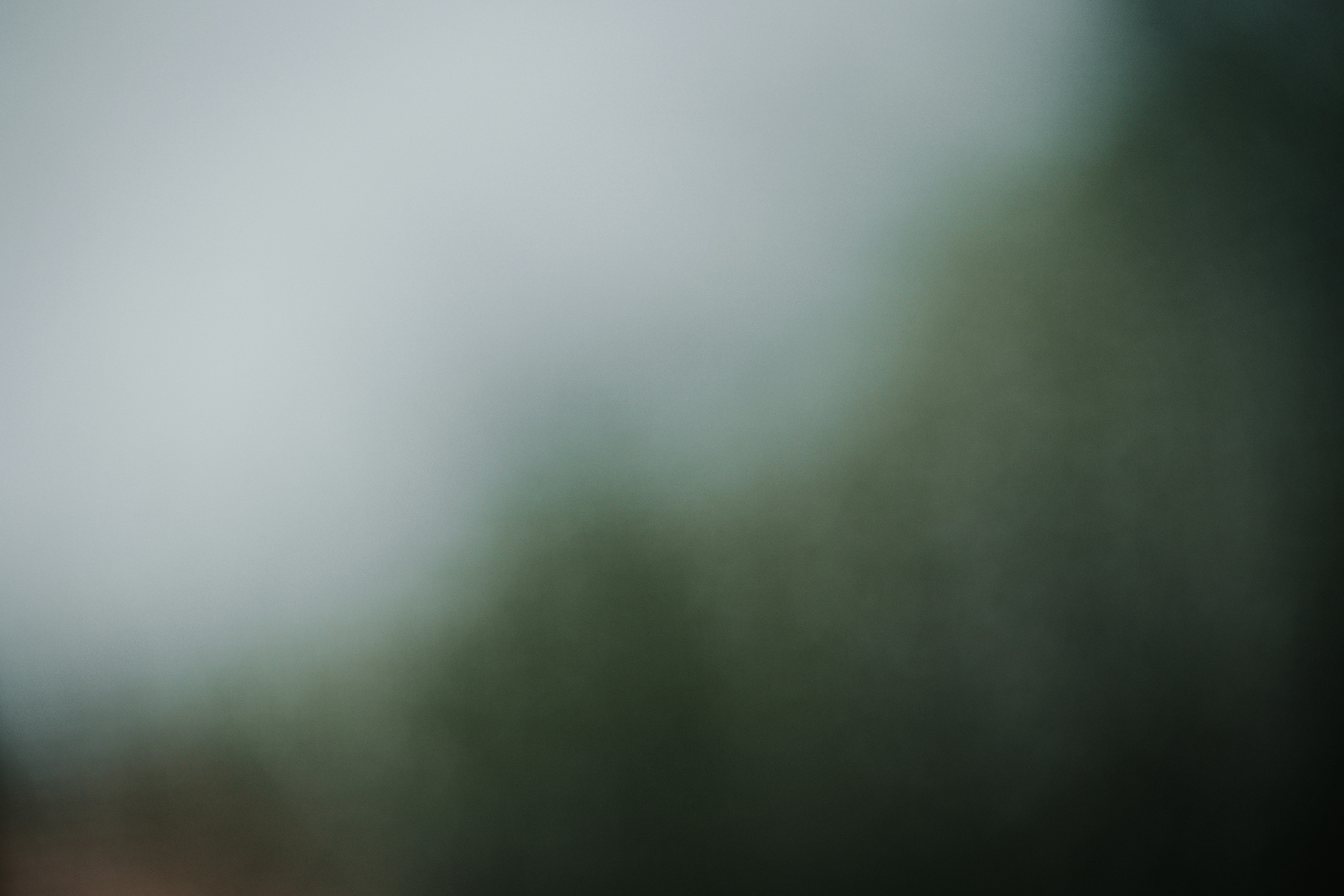 Photo by jeffersonsees