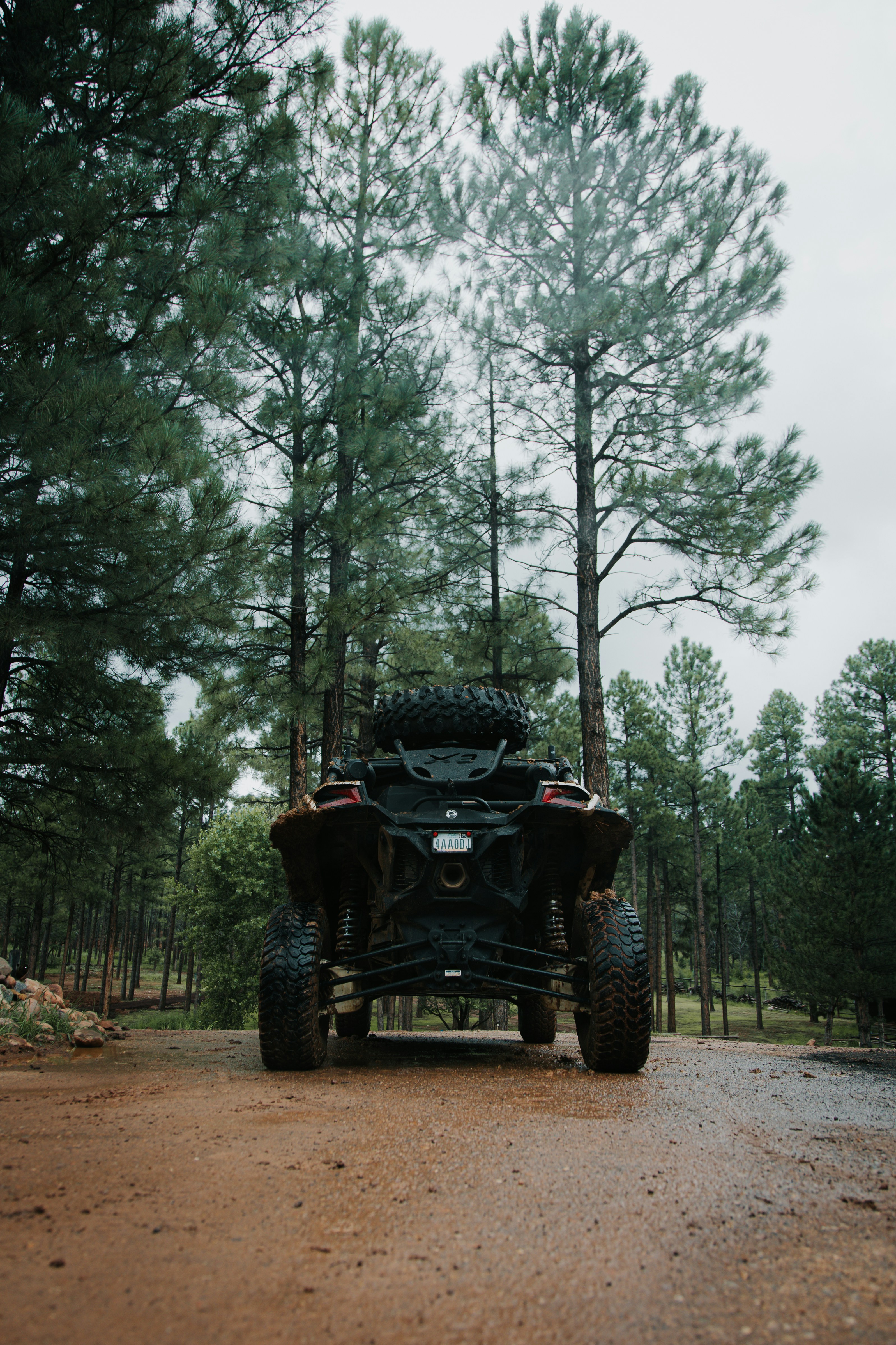 Photo by jeffersonsees