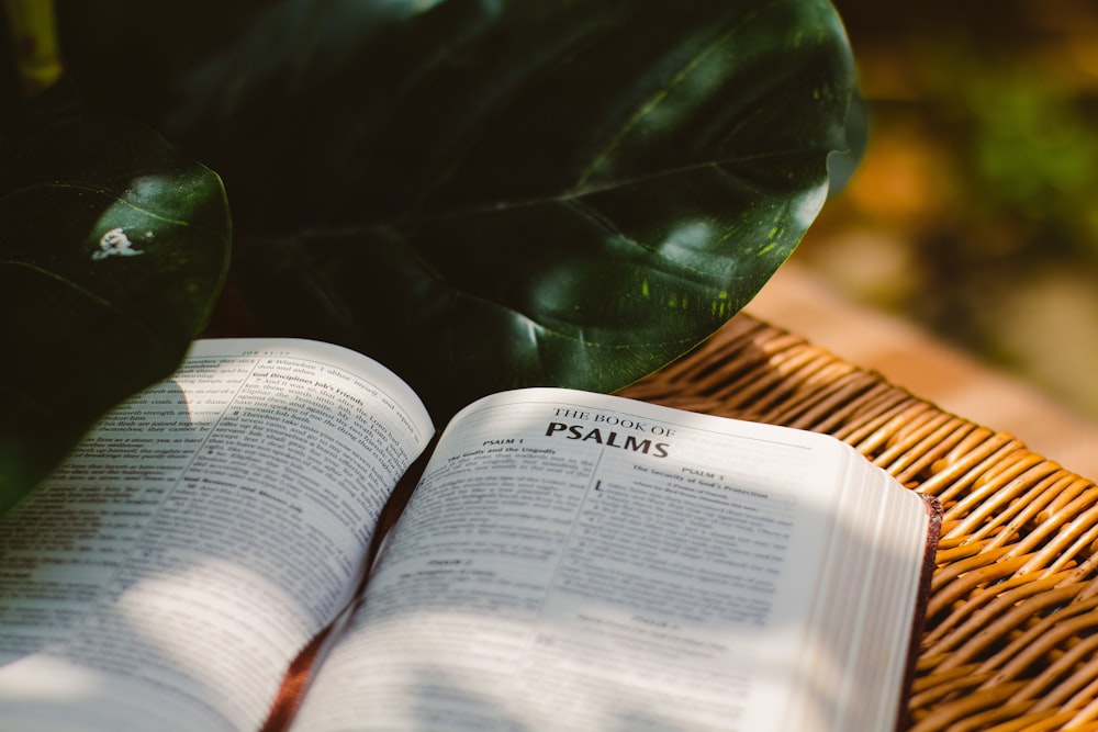 a book and a glass bottle