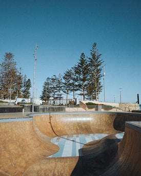 A skate park with a large, curved wooden ramp in the foreground under a clear blue sky. Tall pine trees line the background, and there are a few people sitting or walking along the paths. Light poles are visible near the trees, adding to the open, outdoor setting.