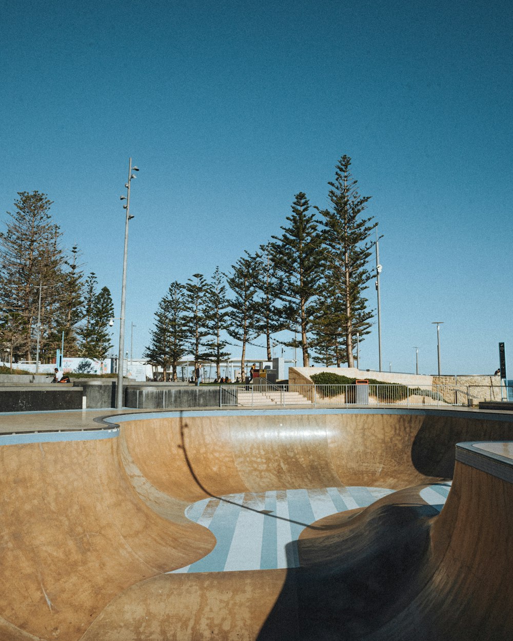 a skate park with trees