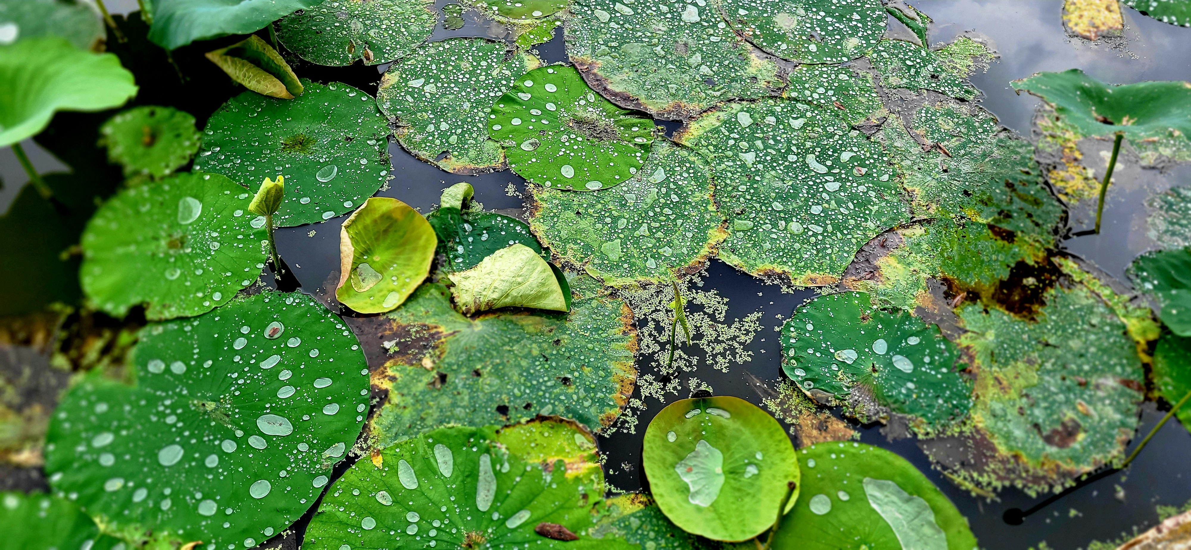 Photo by thats_swell