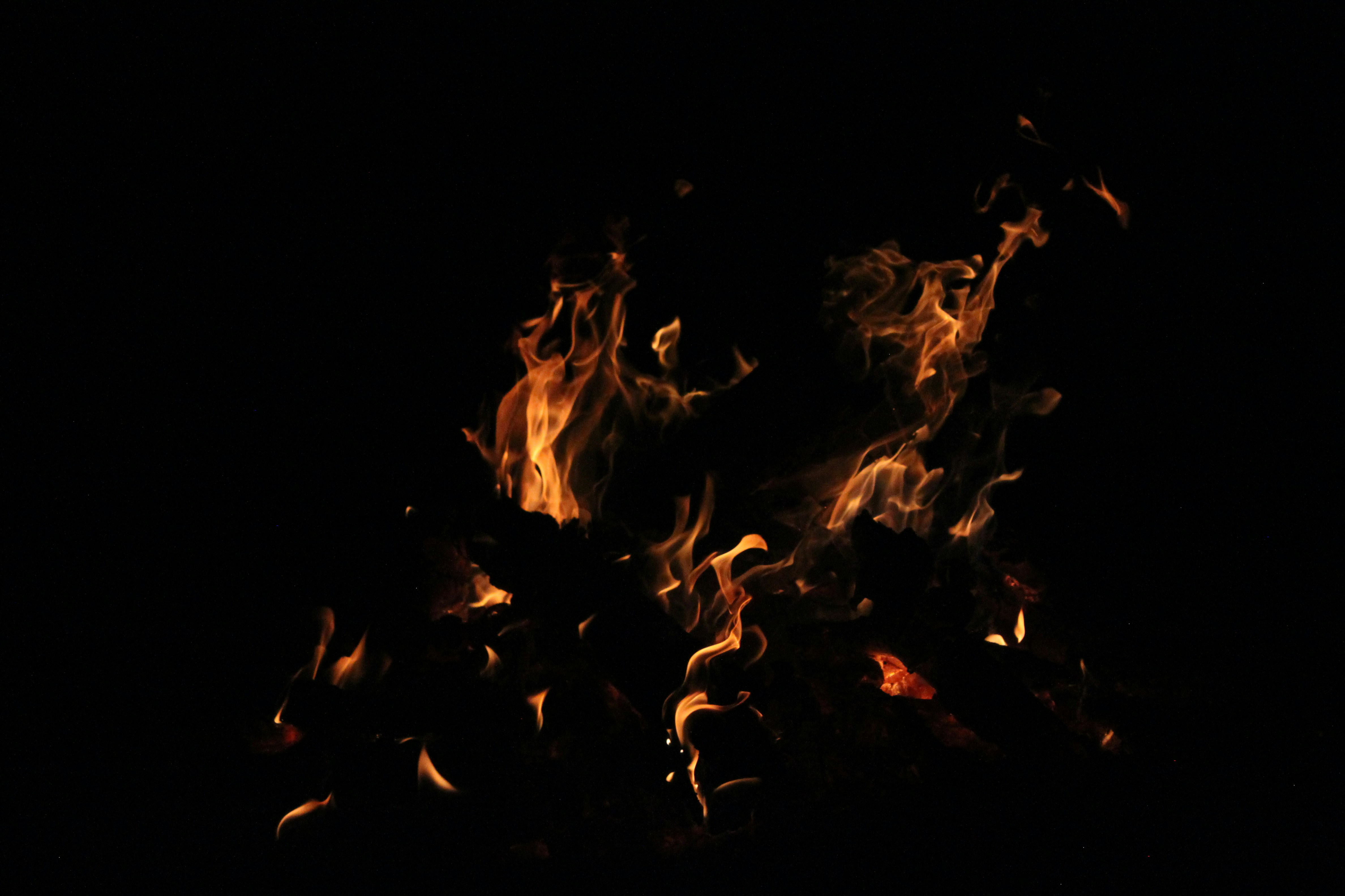 Photo by carlotta_molina