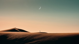 a person standing on a hill