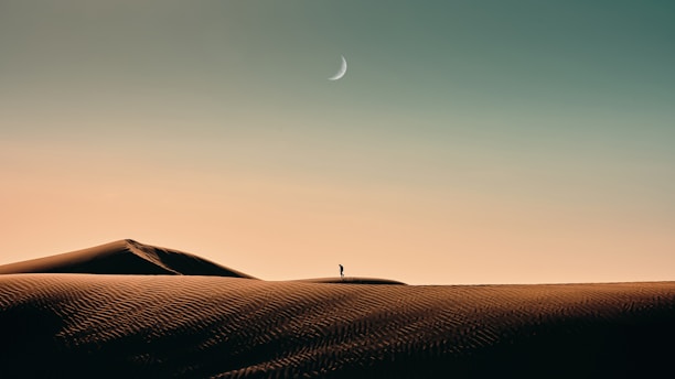 a person standing on a hill