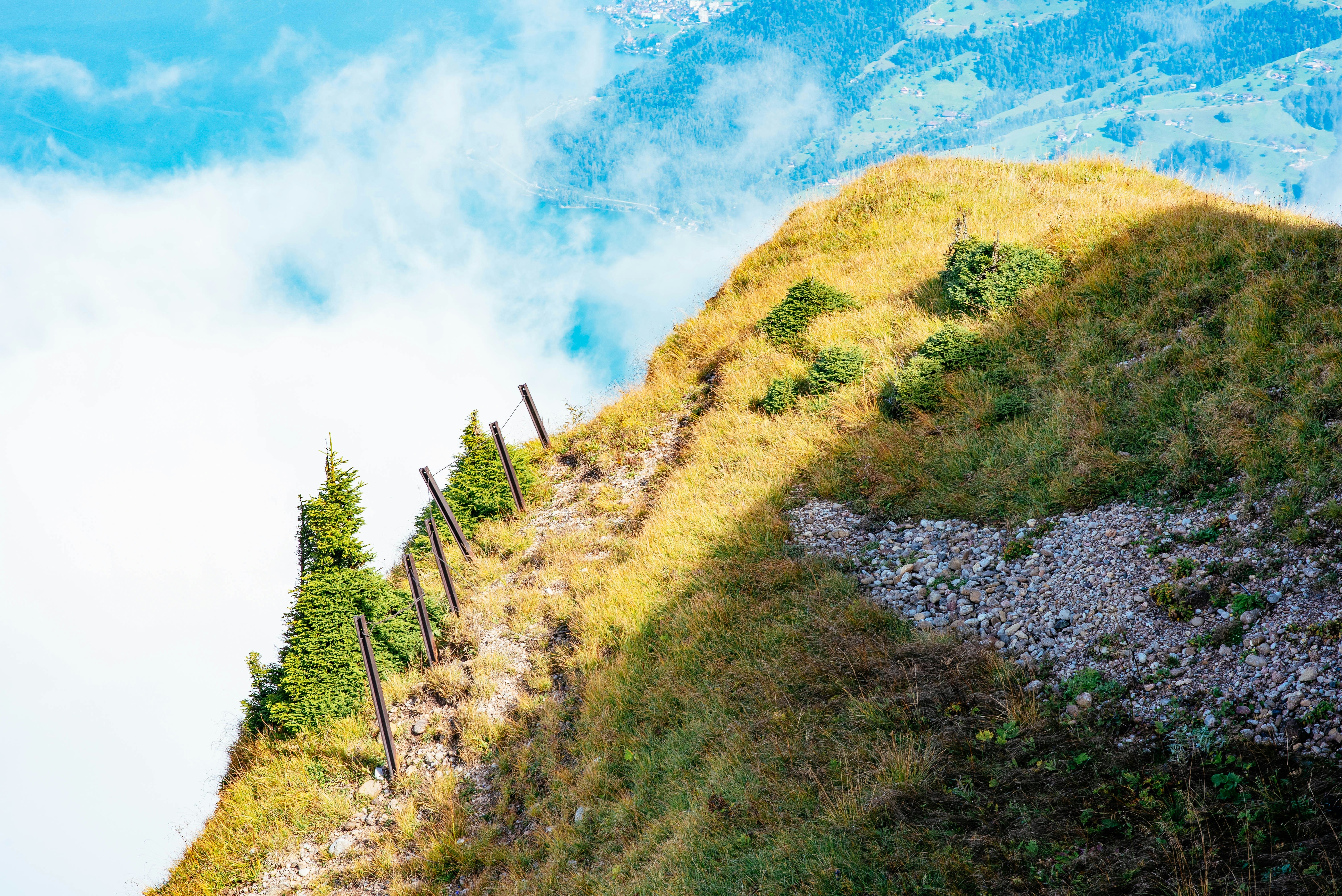 Photo by tommaomaoer