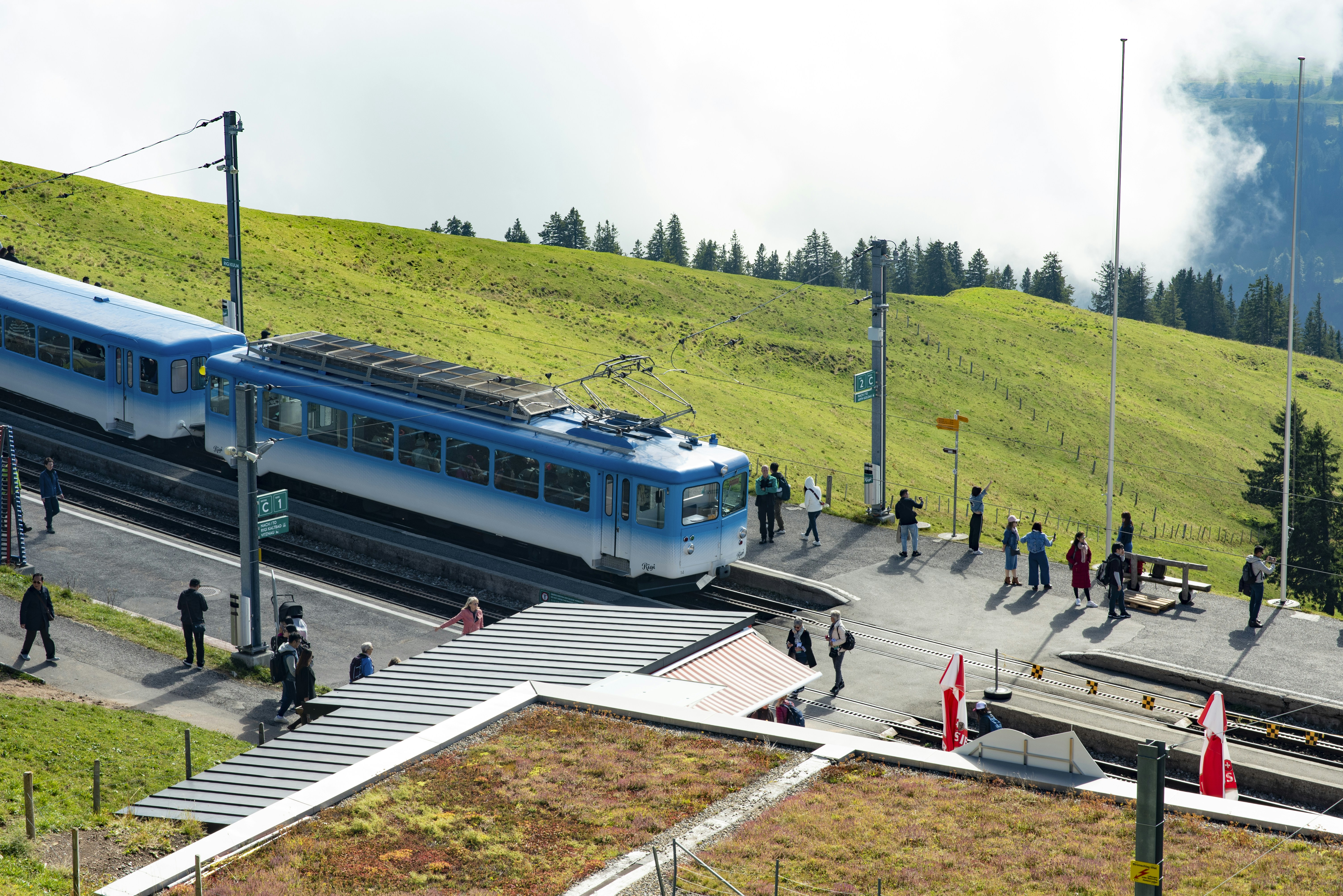 Photo by tommaomaoer