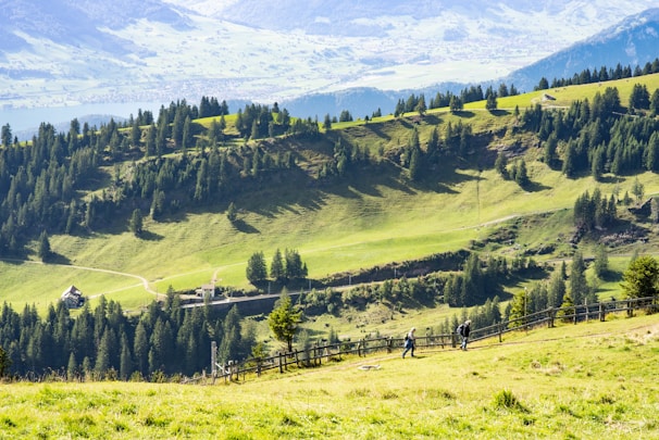 A happy family enjoying a scenic UK countryside view during their holiday.