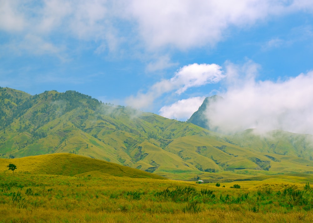 a grassy valley with clouds