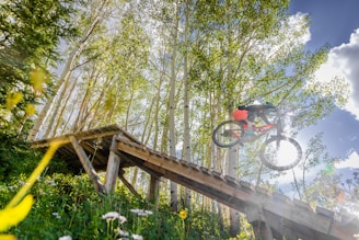 A cyclist is performing a jump on a mountain bike, launching off a wooden ramp in a lush forest setting. Tall green trees with white bark create a scenic backdrop, and the sunlight filters through the leaves, casting dappled shadows on the forest floor. Wildflowers add pops of color to the foreground.