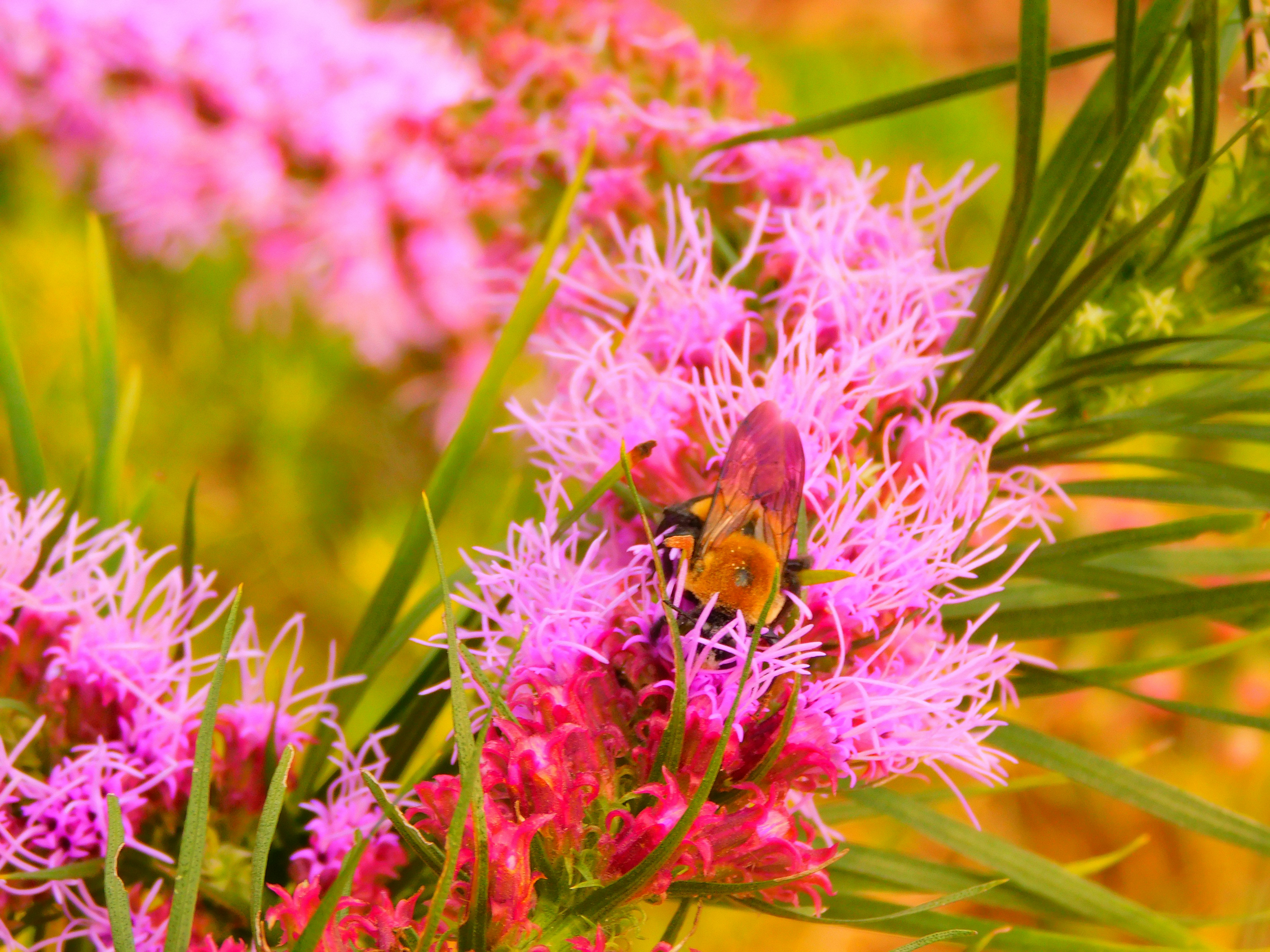 Photo by tylermolk20