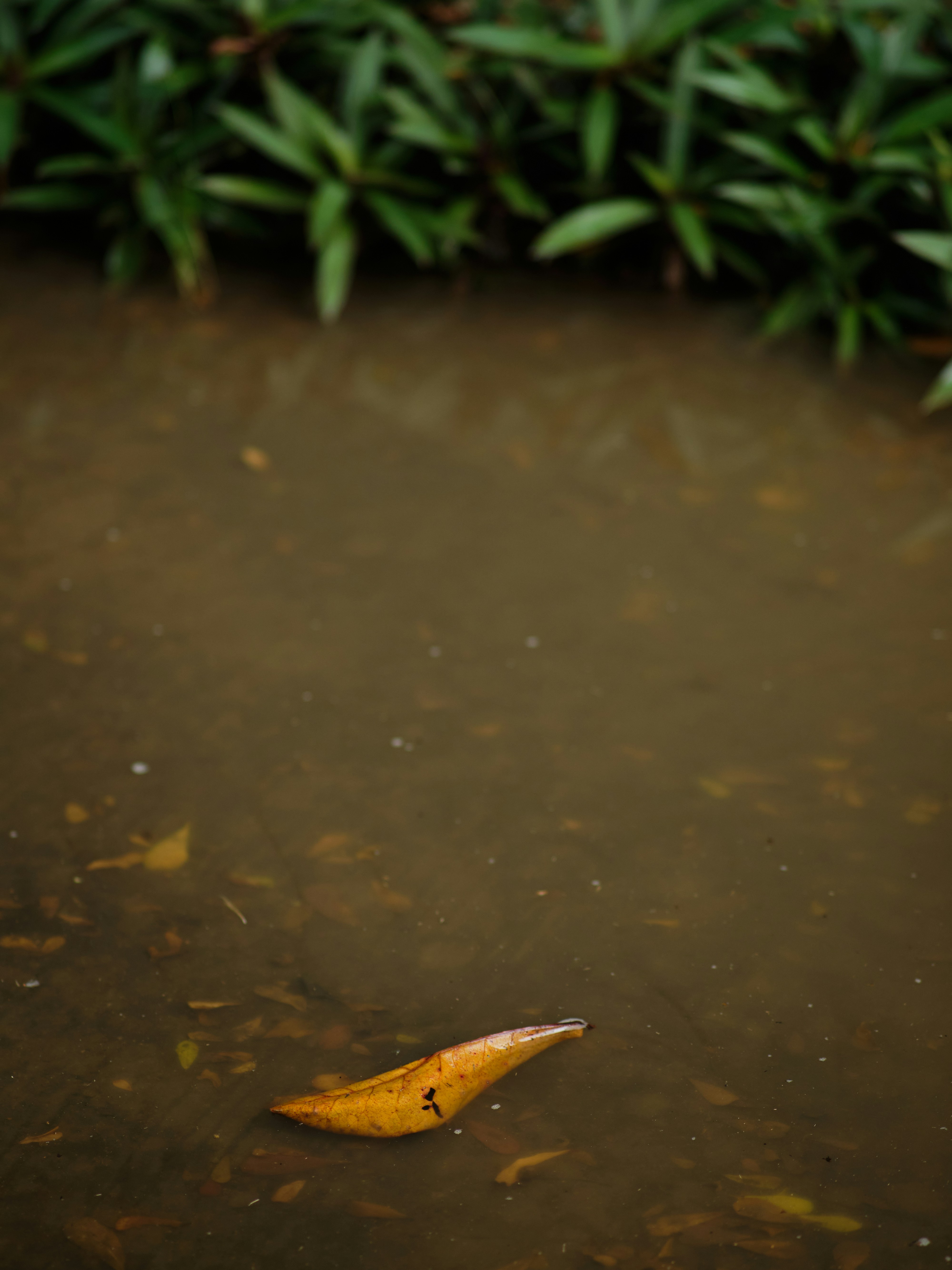 Photo by setsj