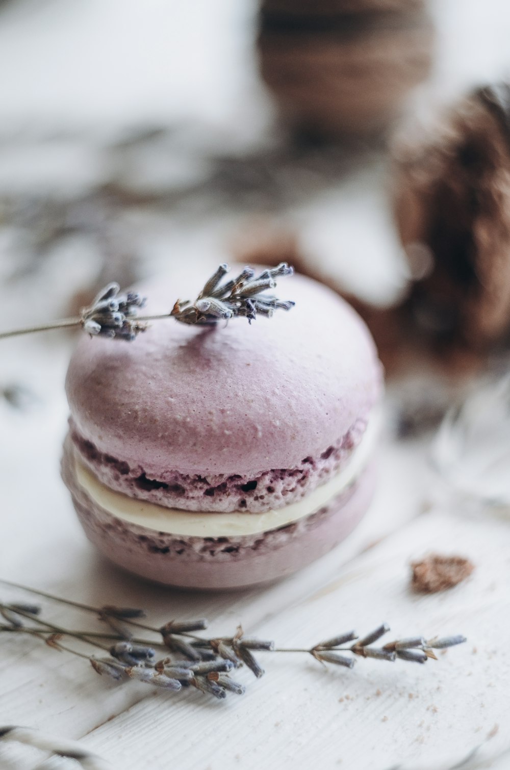 a close up of a bee on a cupcake