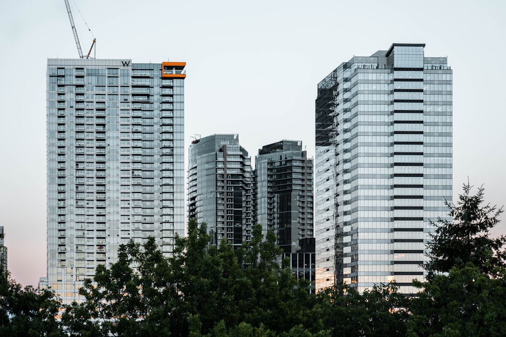 Un grupo de edificios altos