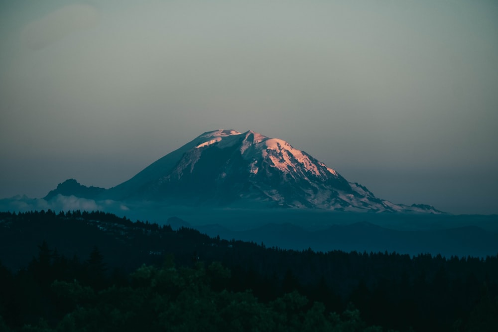 Une montagne enneigée avec des arbres en contrebas