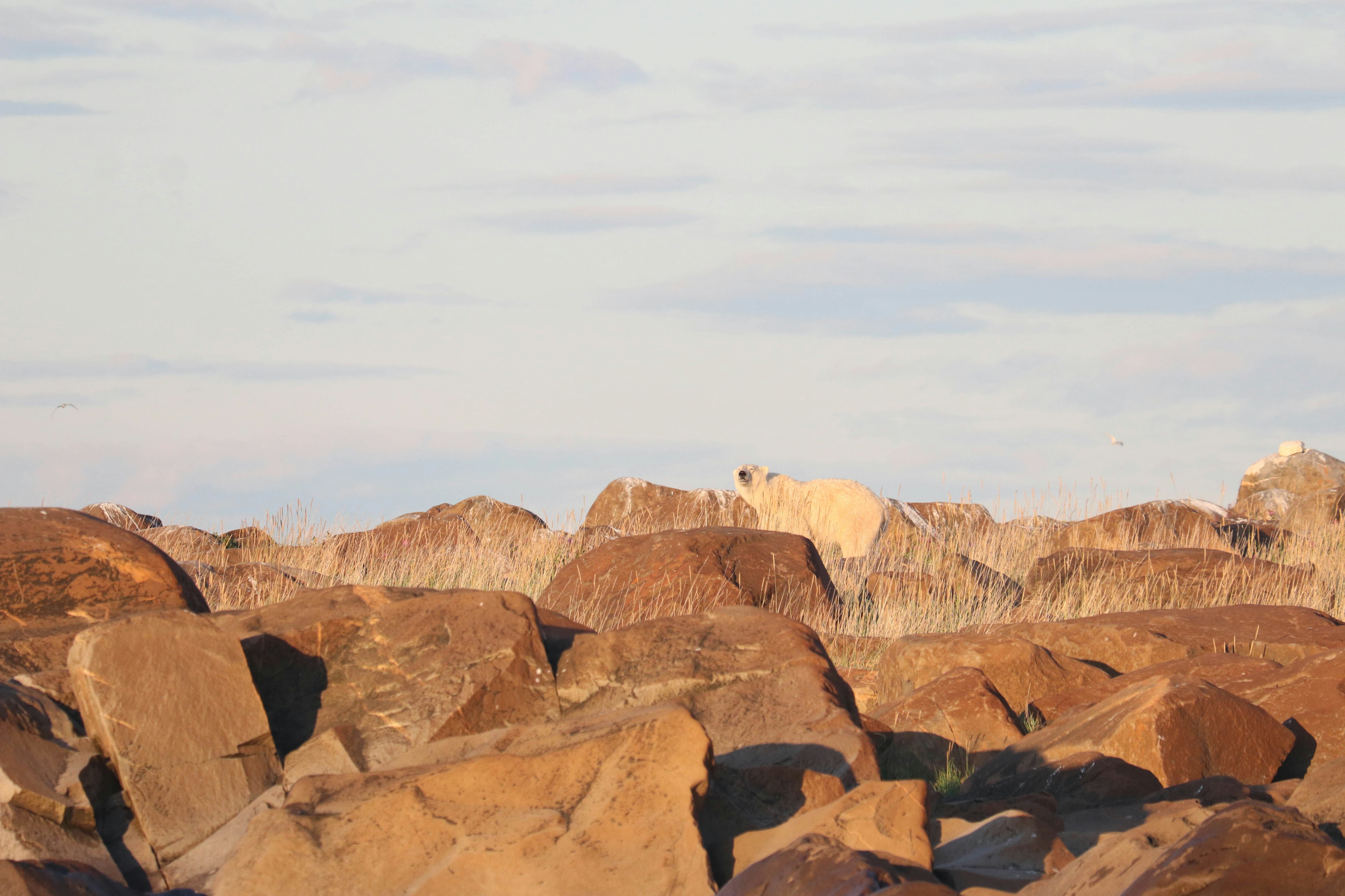 Photo by charlottedcollinsss