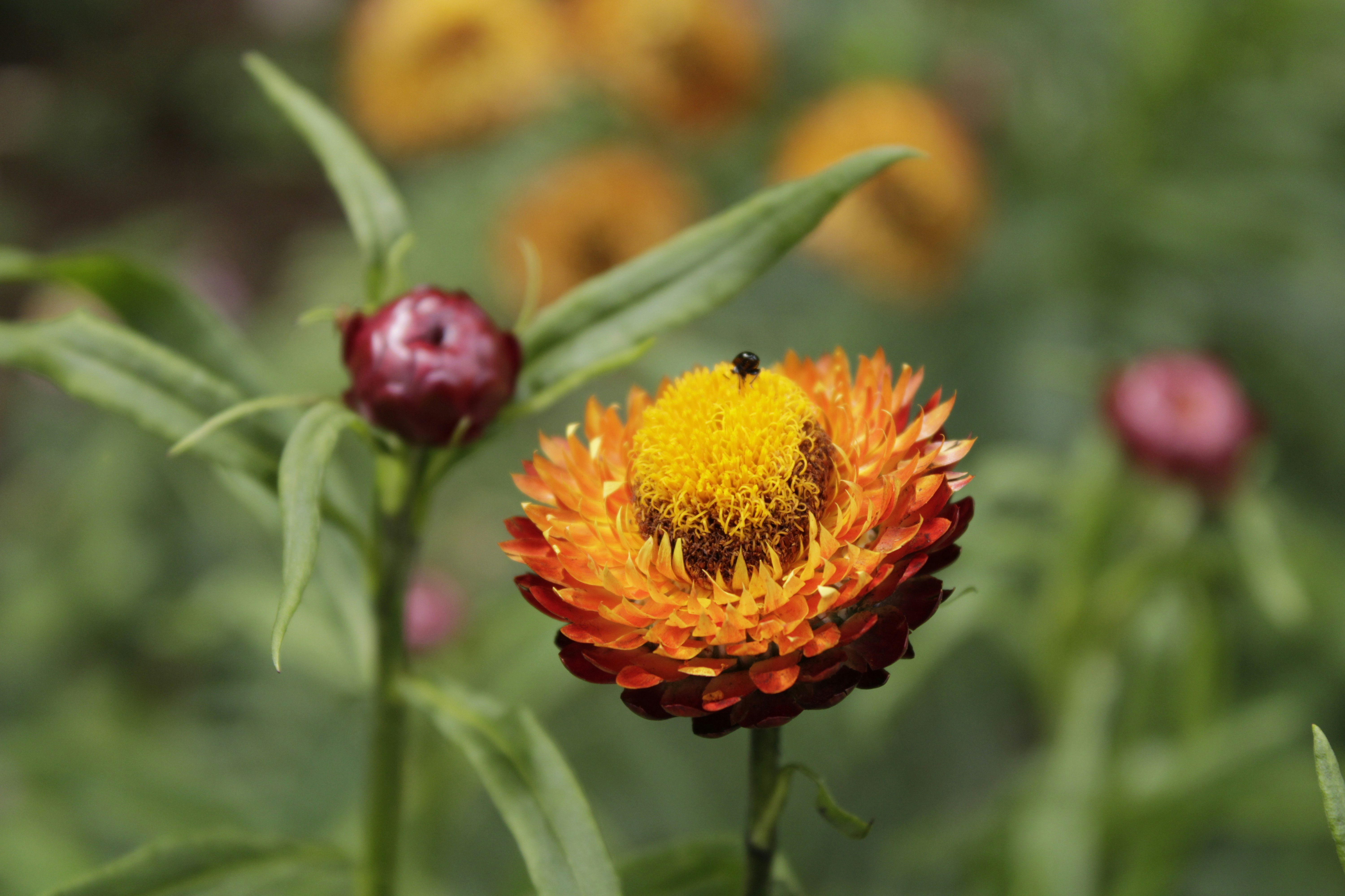 Photo by rommelparas