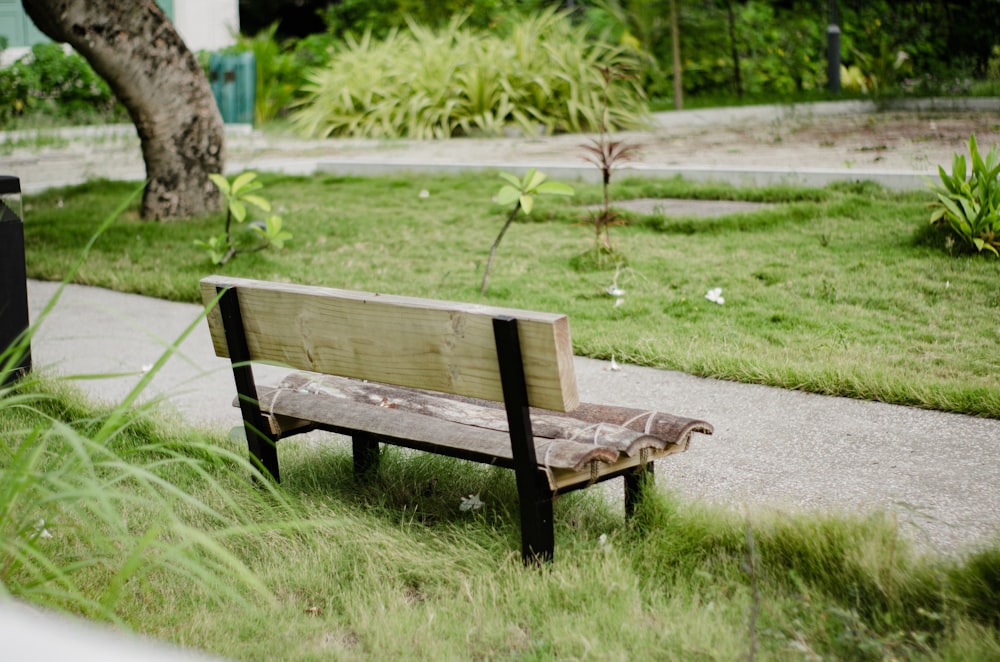 a bench sits unoccupied