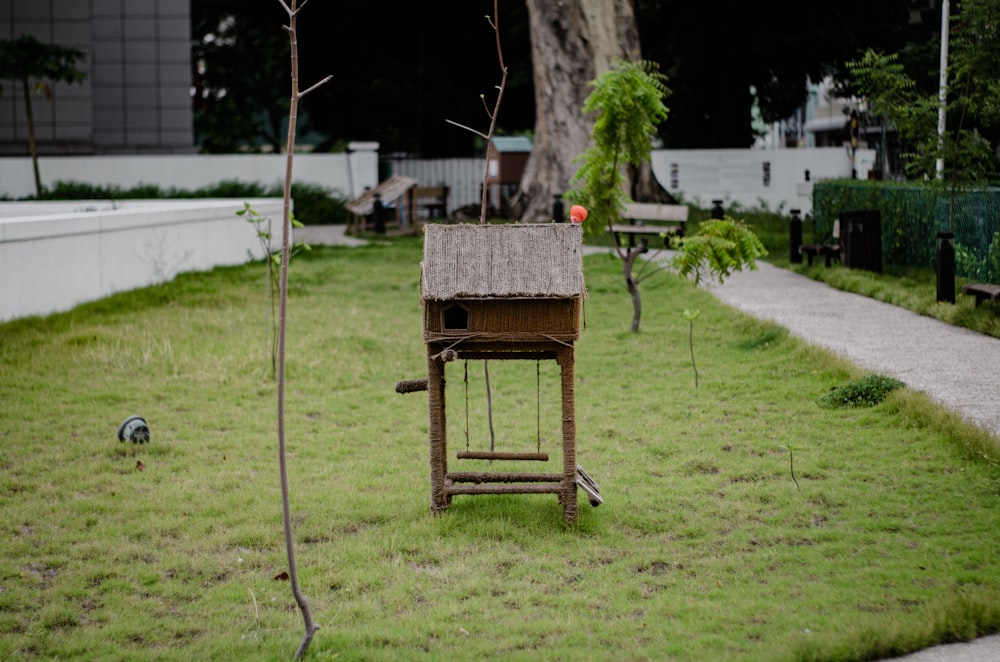 a bird cage on a tree