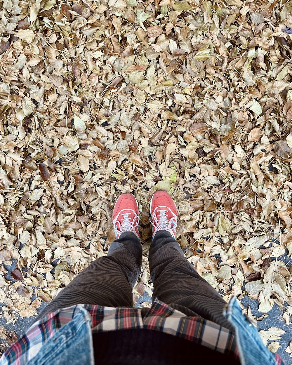 a person's feet on a pile of leaves