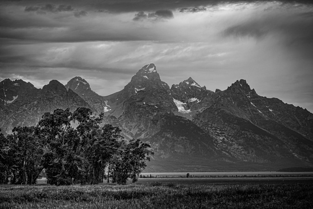 a black and white photo of a mountain range with trees and a road